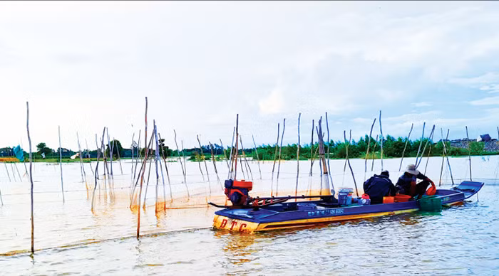 Vui buồn mùa nước nổi ở miền Tây Nam Bộ -0