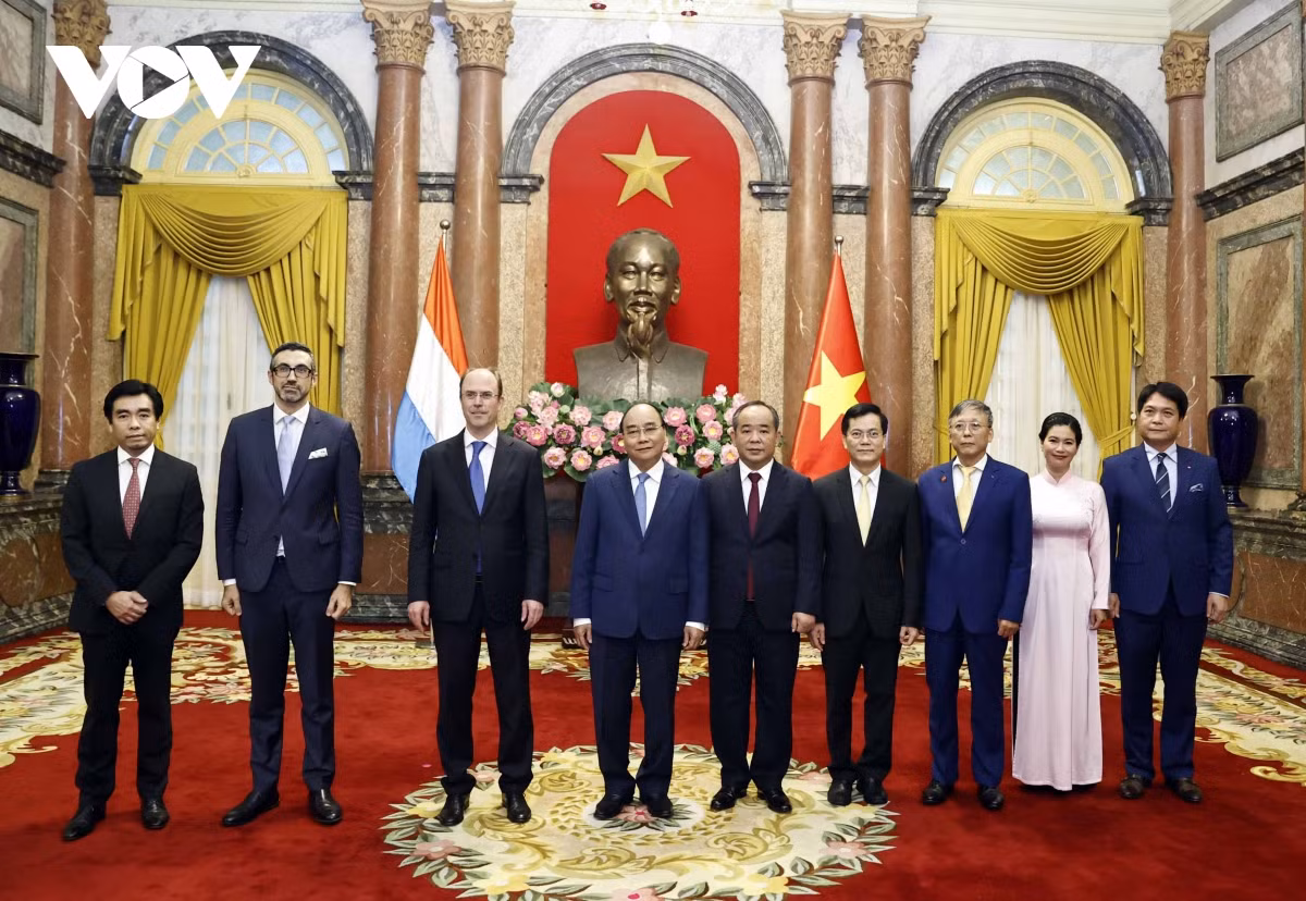 Chủ tịch nước tiếp Đại sứ Hà Lan, Hungary, Australia, Luxembourg trình Quốc thư -0