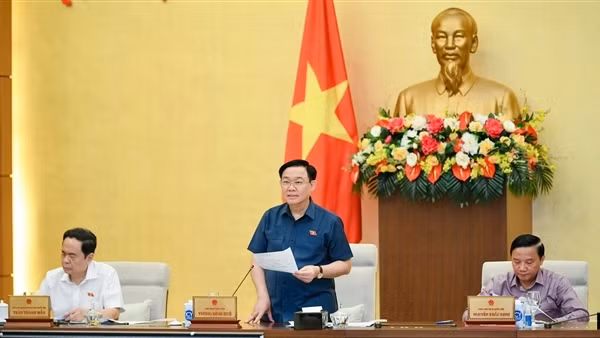 Trình Quốc hội nghị quyết thí điểm đấu giá biển số ô tô