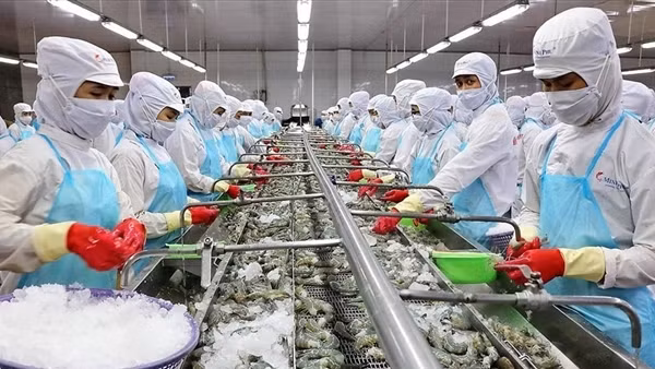 Xuất khẩu thuỷ sản sang thị trường Nga tăng mạnh