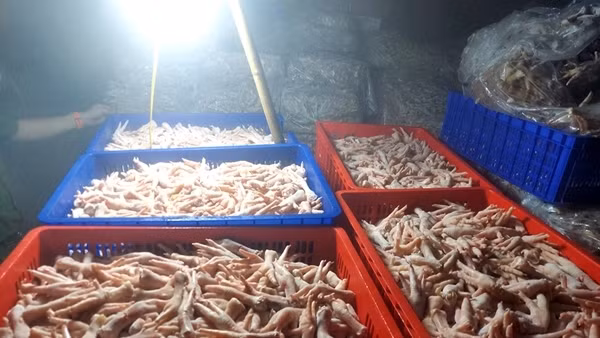 Hà Nội phát hiện hàng tấn chân gà đông lạnh không rõ nguồn gốc