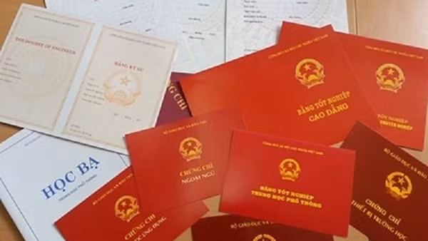 Bí thư Đảng ủy phường bị khai trừ khỏi Đảng vì dùng bằng giả