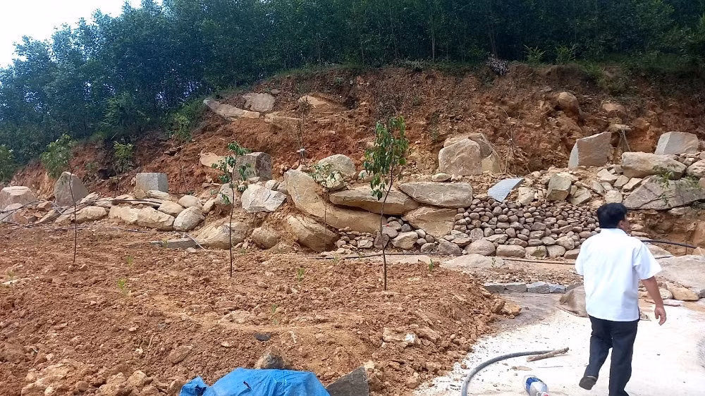 Vụ san ủi trái phép đất rừng làm khu du lịch sinh thái: Buộc chủ đầu tư lấp hồ, trồng lại rừng -0