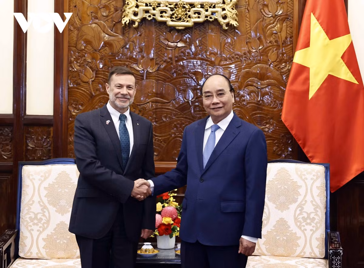 Chủ tịch nước tiếp Đại sứ Hà Lan, Hungary, Australia, Luxembourg trình Quốc thư -0