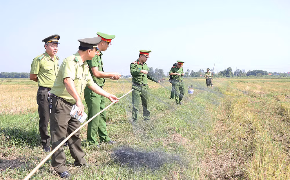 Ngăn chặn nạn tận diệt chim trời -0