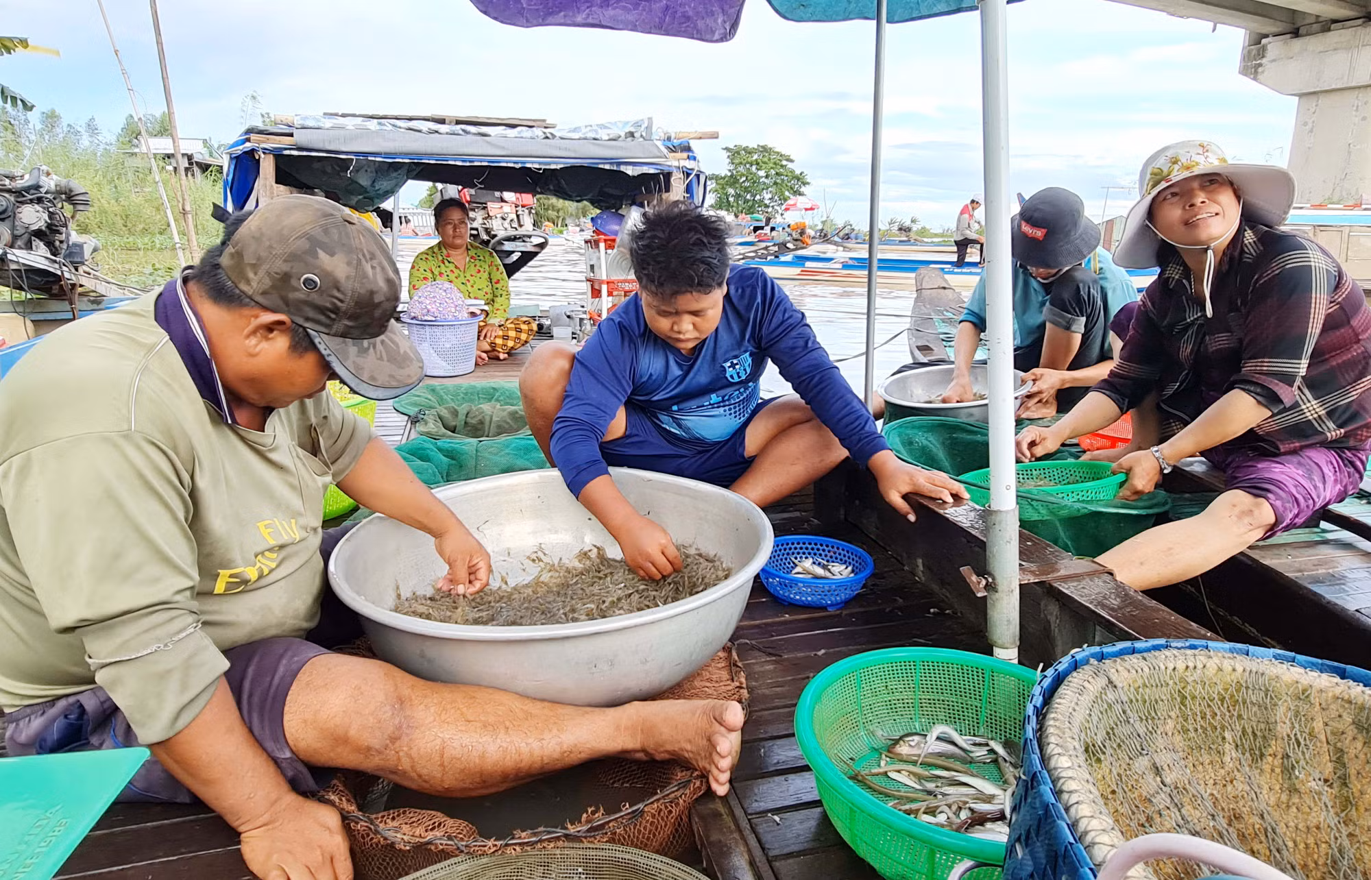 Cùng ngư dân đầu nguồn ra đồng dỡ dớn mang ra chợ cá Kinh Ruột bán -0