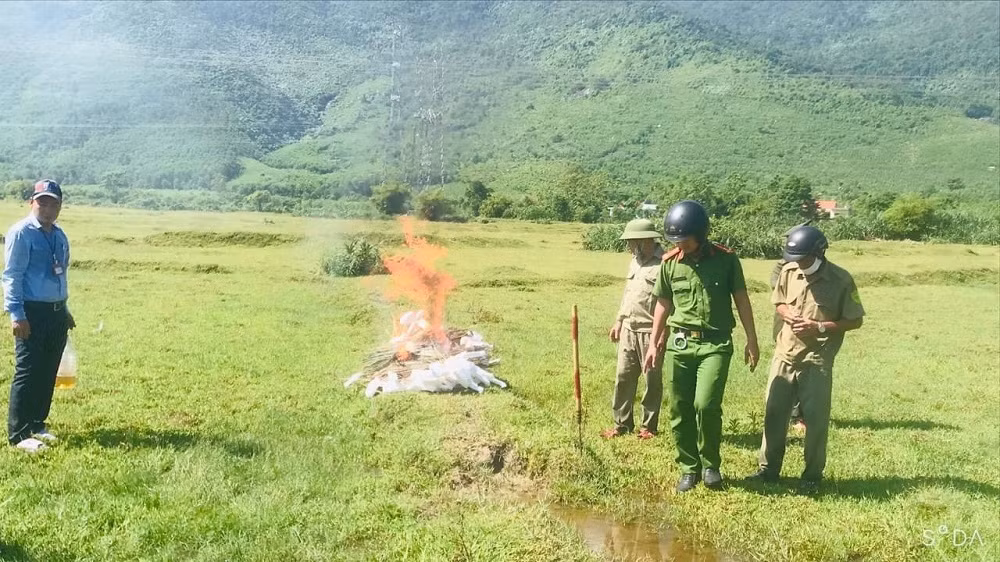 Công an xã đồng loạt ra quân ngăn chặn nạn săn bắt chim trời -0