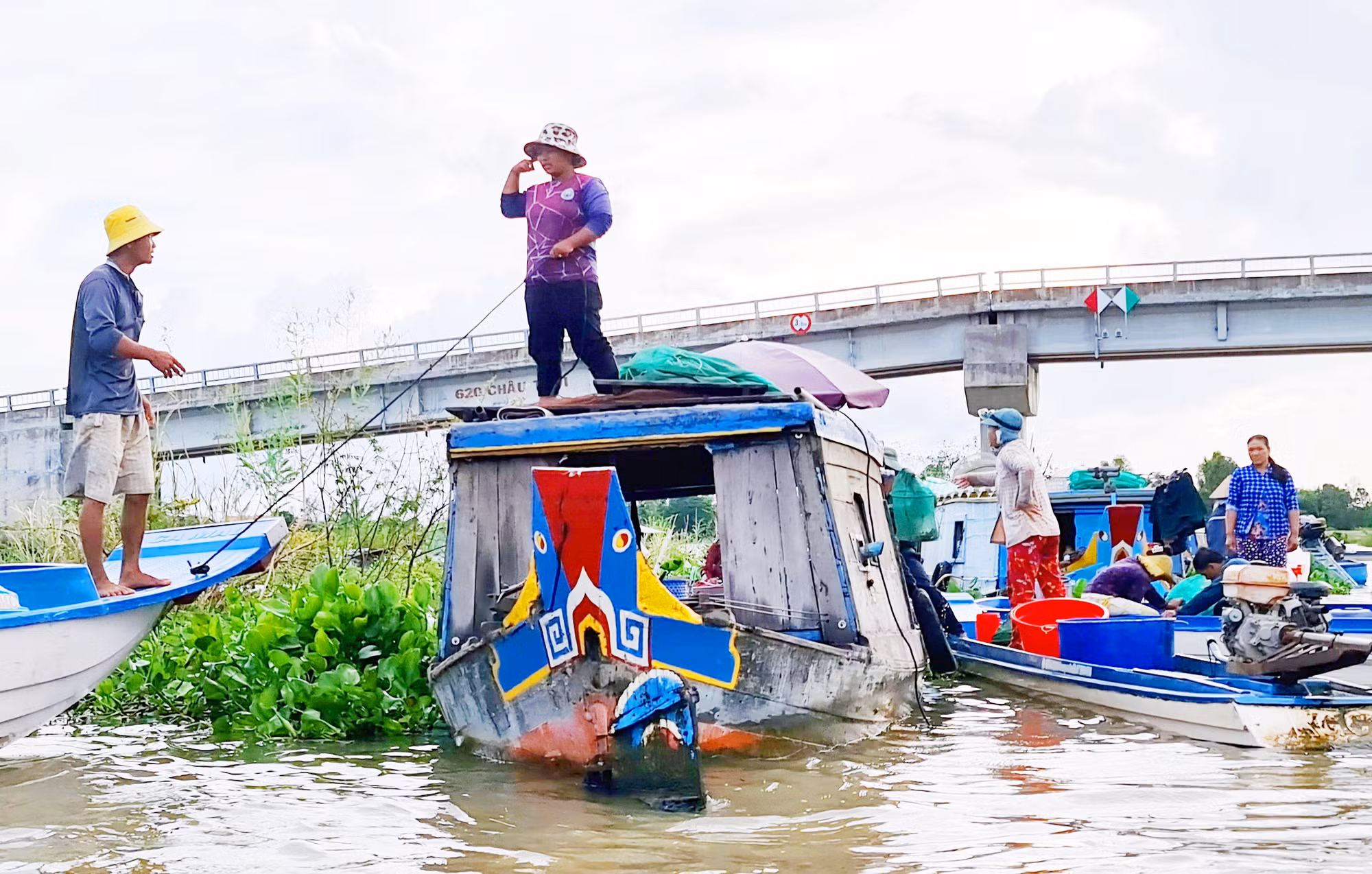 Cùng ngư dân đầu nguồn ra đồng dỡ dớn mang ra chợ cá Kinh Ruột bán -3