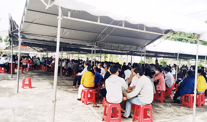 Những chuyên án rúng động Tây Nam Bộ -0