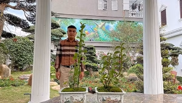 Chân dung “bà trùm” và nghi vấn rửa tiền của đại gia lan đột biến