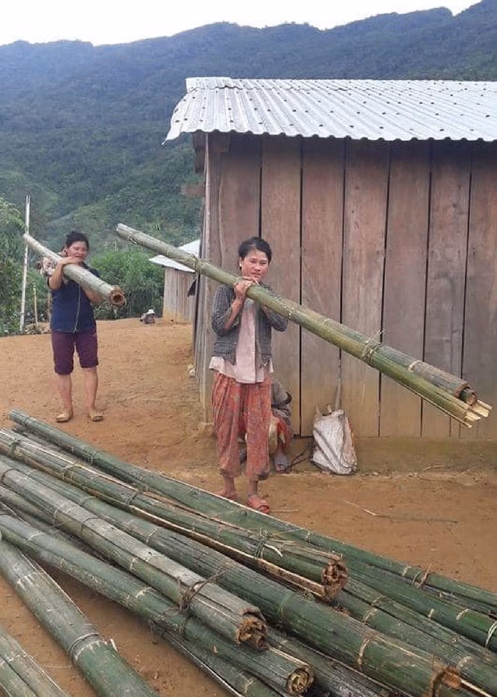 Chuyện mới trên nóc Lâng Loan -0