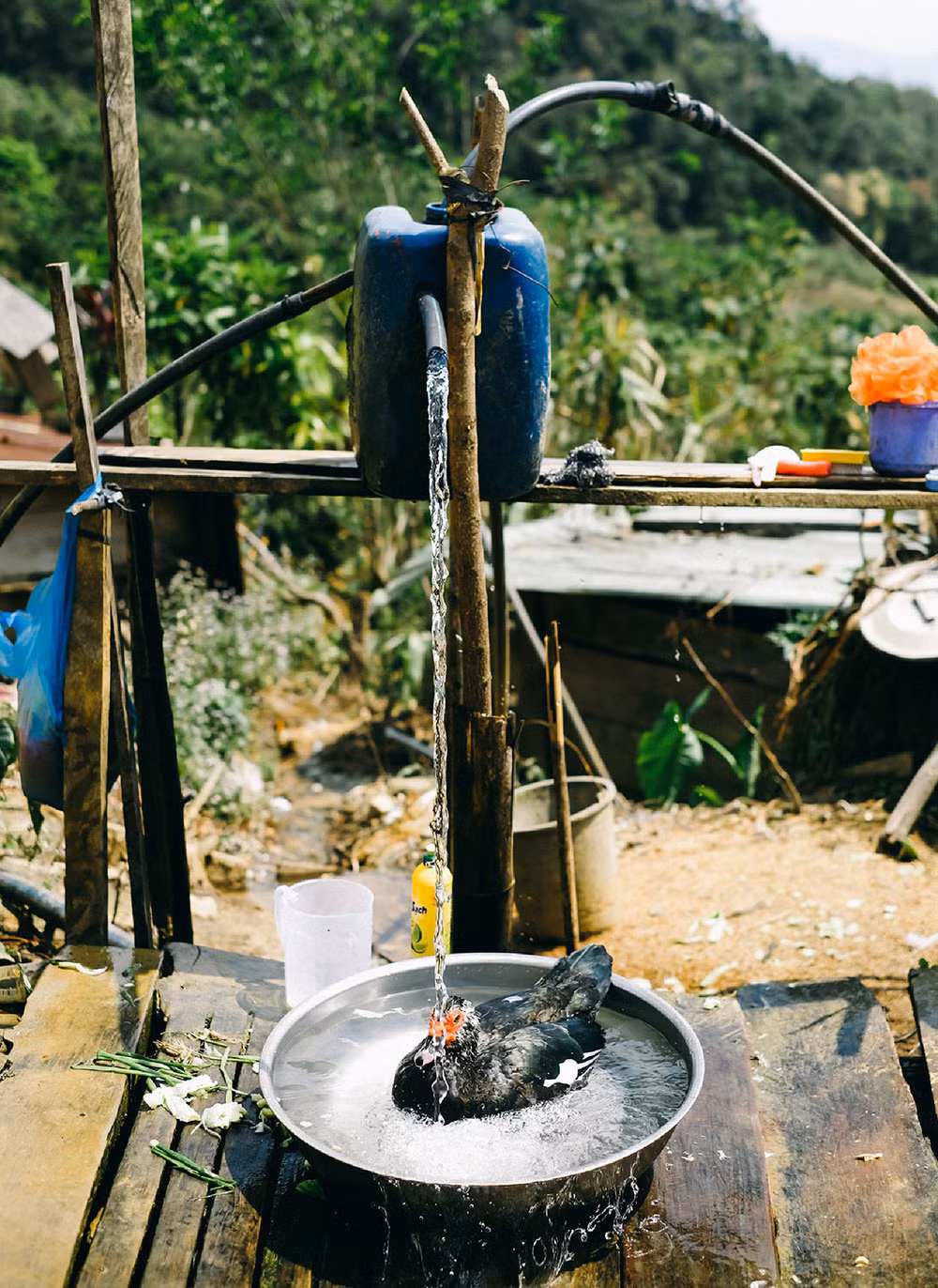 Chuyện mới trên nóc Lâng Loan -0