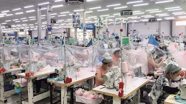 Cơ hội việc làm sau dịch vẫn còn khó khăn ảnh 2