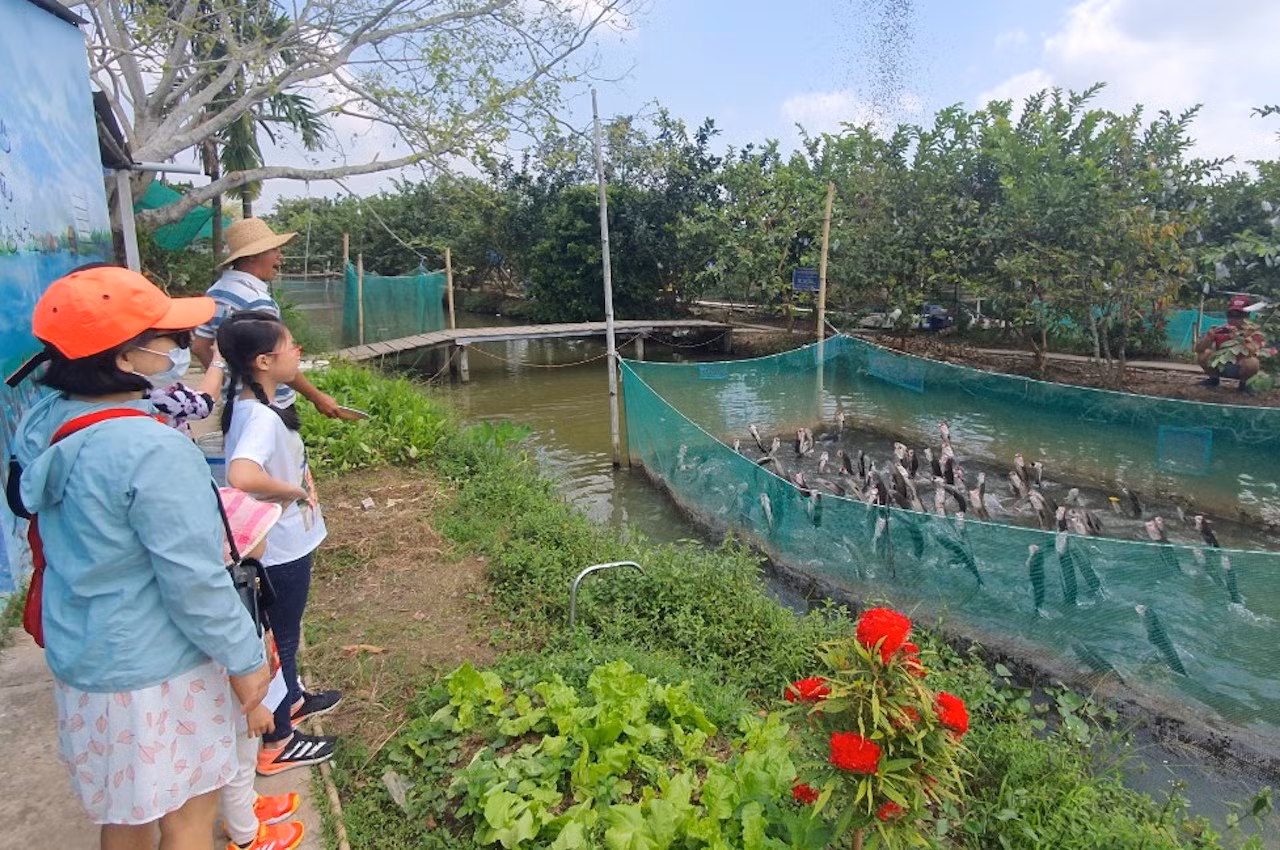 Cần Thơ thu hồi dự án khu du lịch hơn 1.500 tỷ ở Cồn Sơn -0