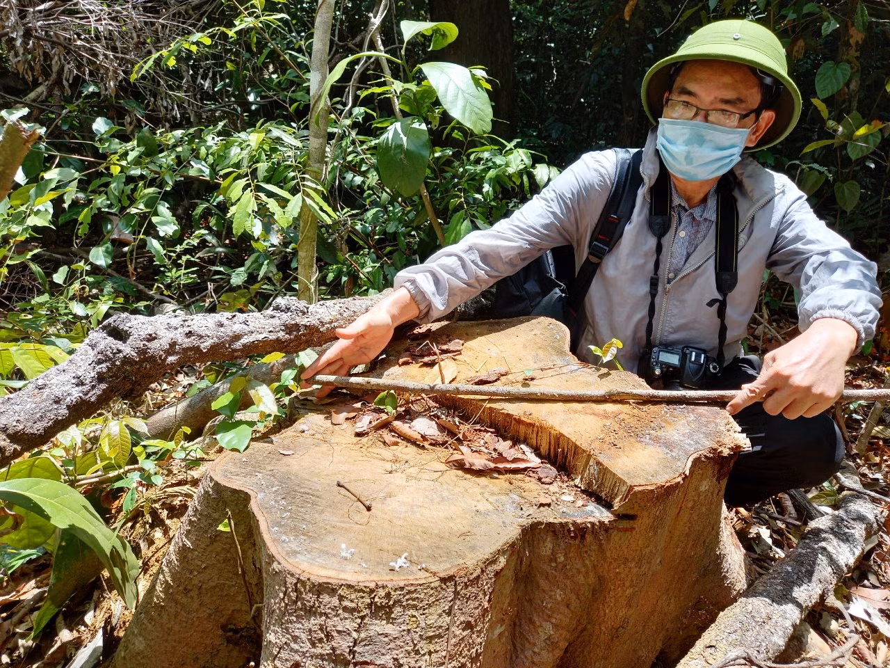 Lộ diện thêm những vụ phá rừng khác ở huyện Sơn Hòa -0