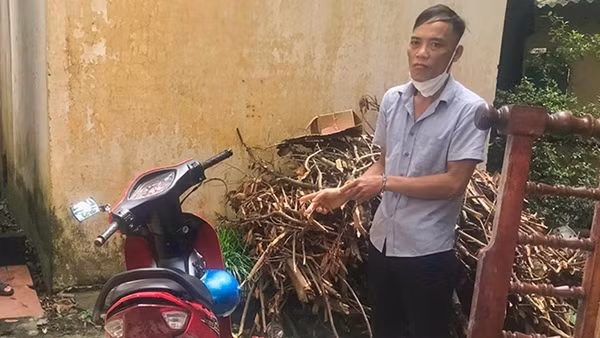 Rủ em vợ trộm cắp hàng chục xe máy rồi tráo biển đem bán ảnh 2