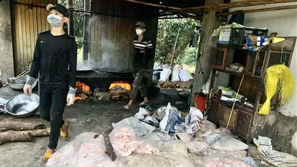 Phát hiện cơ sở chế biến hơn 1,2 tấn mỡ heo bẩn