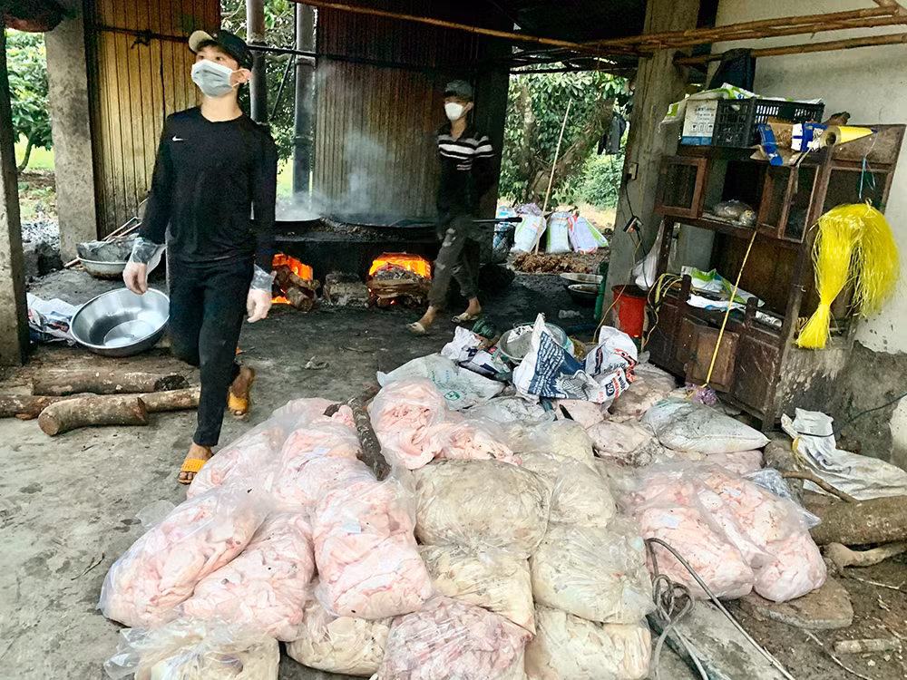 Phát hiện hơn 1,2 tấn mỡ heo bẩn -0