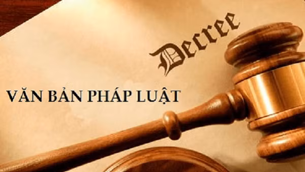 Một số chính sách mới có hiệu lực từ tháng 11/2021 ảnh 1