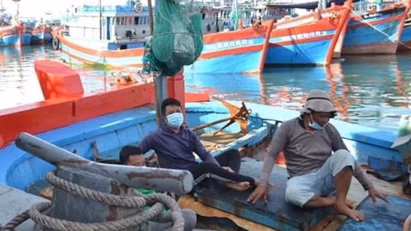 Tàu cá bị tàu hàng đâm chìm giữa biển, 12 ngư dân được cứu sống ảnh 4