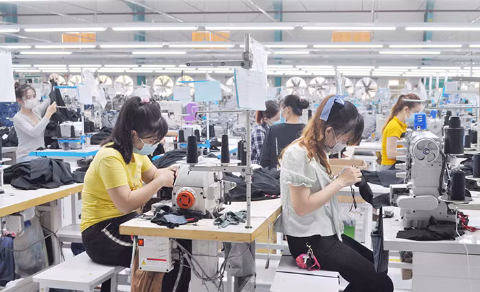 Cần có phương án sản xuất phù hợp với tình hình chống dịch kéo dài -0