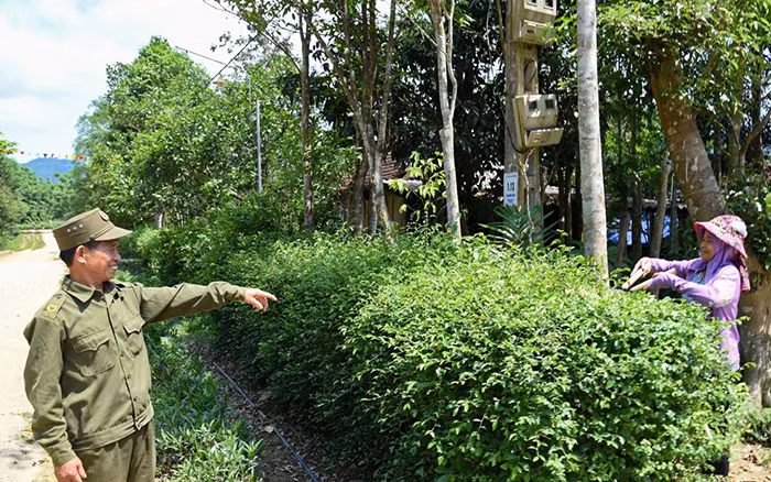 Chuyện một Đảng viên “trẻ” ở Hương Liên -0
