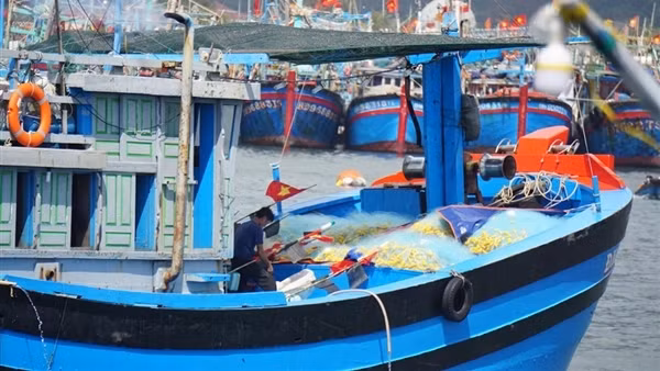 Niềm vui "lộc biển” đầu xuân ảnh 2