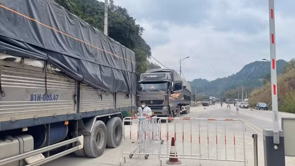 Khôi phục thông quan hàng hoá tại nhiều cửa khẩu ở Lạng Sơn ảnh 2