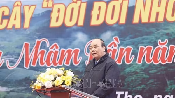 Triển khai Nghị quyết số 02/NQ-CP: Thúc đẩy phục hồi và phát triển kinh tế - xã hội ảnh 2