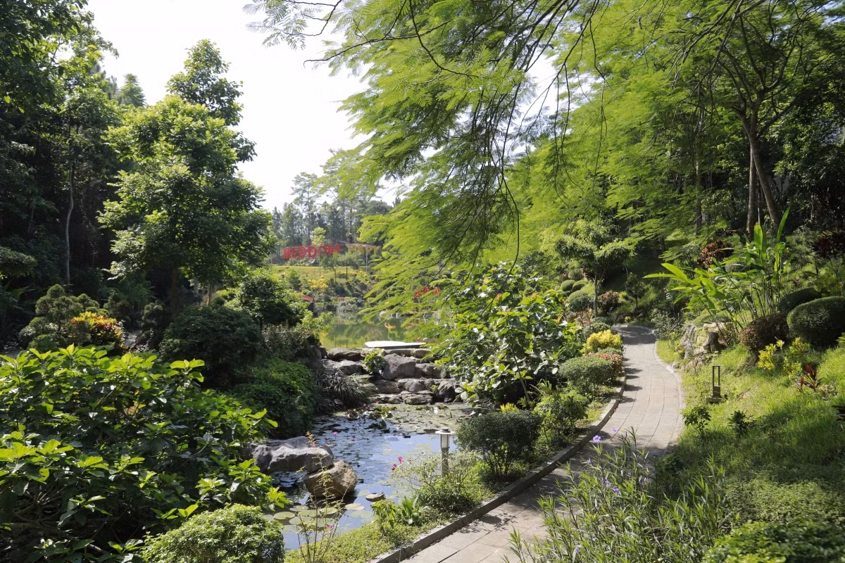 Hào hứng 