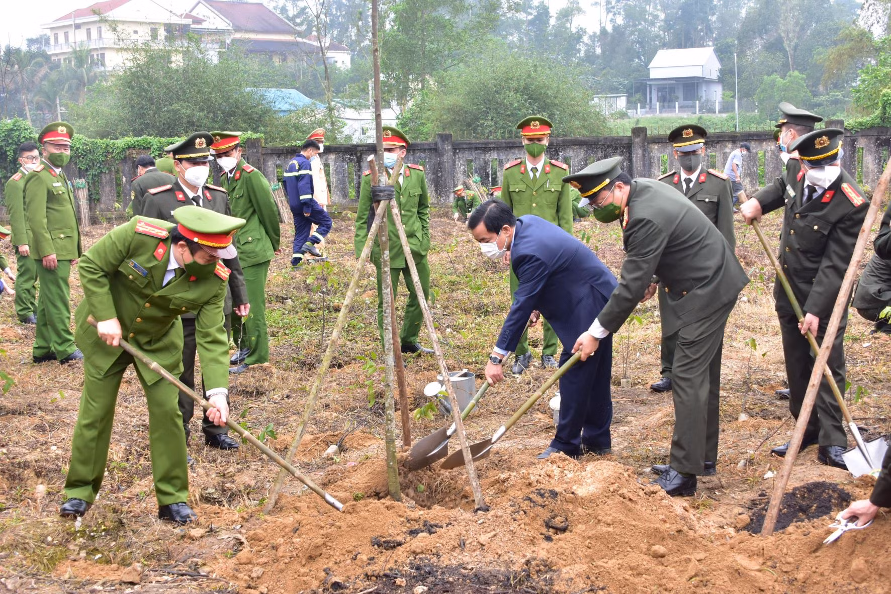 Thừa Thiên-Huế phát động phong trào “Tết trồng cây đời đời nhớ ơn Bác Hồ” -0