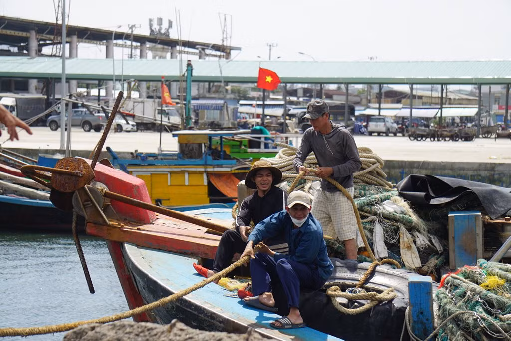 Ngư trường Đà Nẵng tất bật vươn khơi, đón lộc biển đầu năm -2