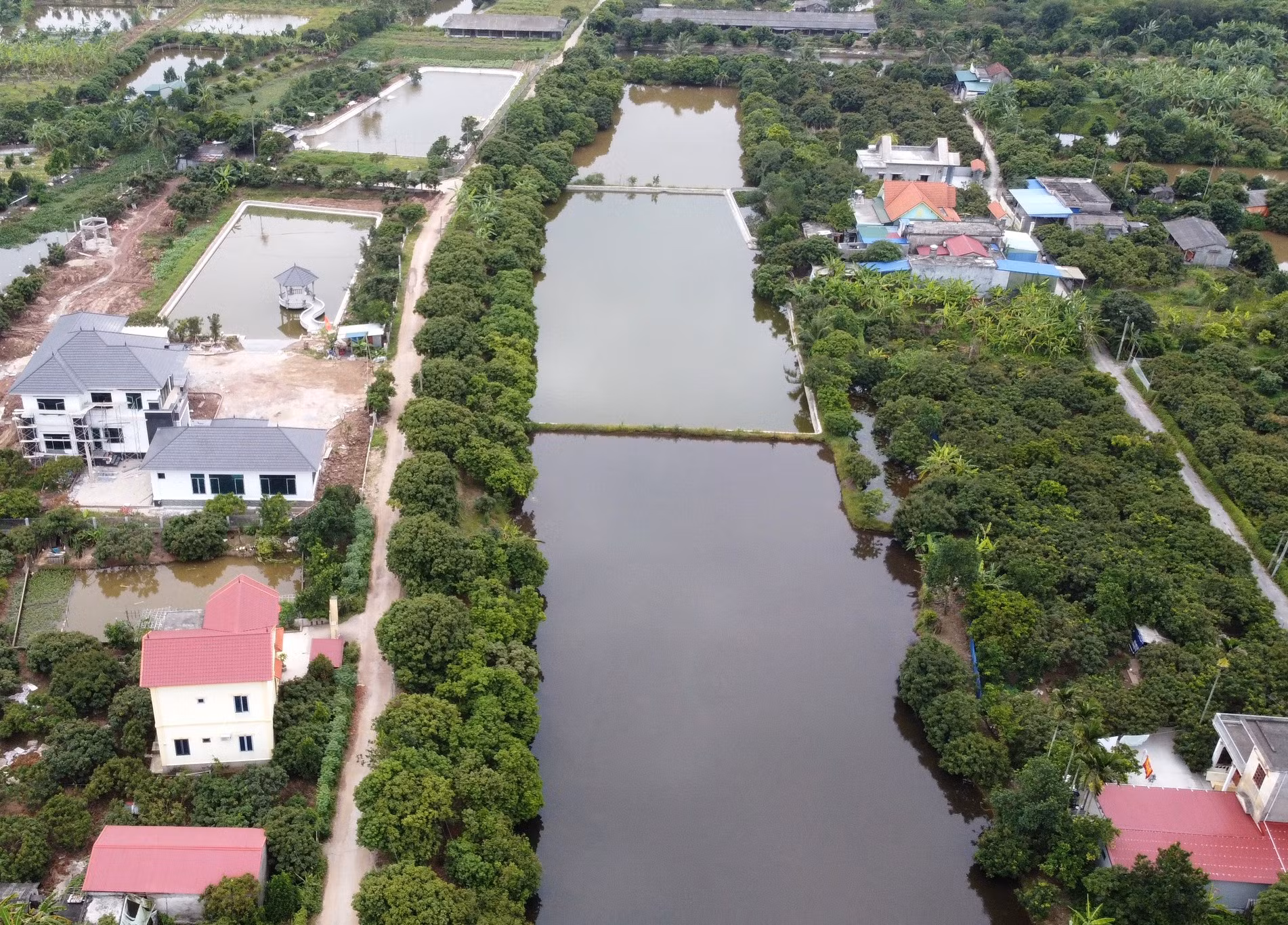 Điều tra hàng loạt biệt thự xây dựng trái phép trên đất nông trường -0