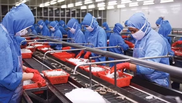 Thêm nhiều khuyến nghị quan trọng phục hồi kinh tế, thương mại trong đại dịch COVID - 19 ảnh 3