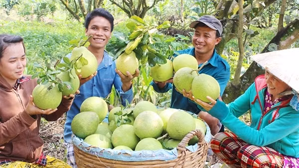 Giải bài toán "đầu ra" cho nông sản Đồng bằng sông Cửu Long