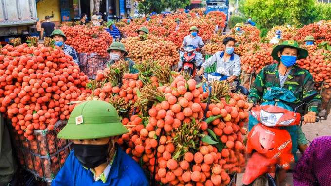 vai-thieu-bac-giang-5092-0901.jpeg -0