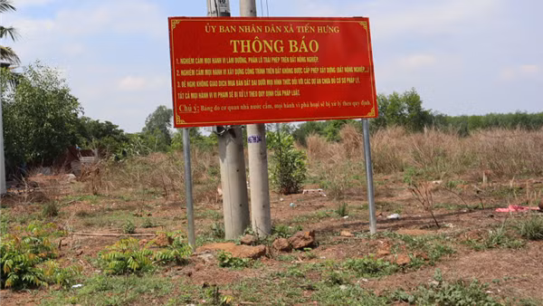 Chủ tịch UBND tỉnh 5 lần hối thúc, Bệnh viện Tâm thần TƯ2 vẫn "cứng đầu" ảnh 2