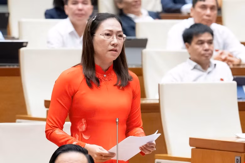 Đại biểu nêu thực trạng 