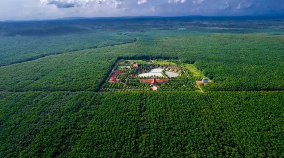 Từ “Phú Riềng Đỏ” đến khát vọng hội nhập - 96 năm bản lĩnh ngành Cao su Việt Nam -0