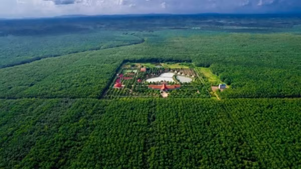 Từ “Phú Riềng Đỏ” đến khát vọng hội nhập - 96 năm bản lĩnh ngành Cao su Việt Nam