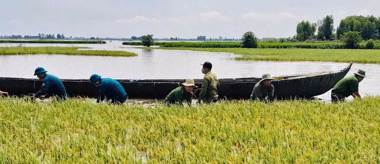 Dầm mình khắc phục hậu quả do mưa dông và lũ tràn về nhanh ở Tây Ninh -4