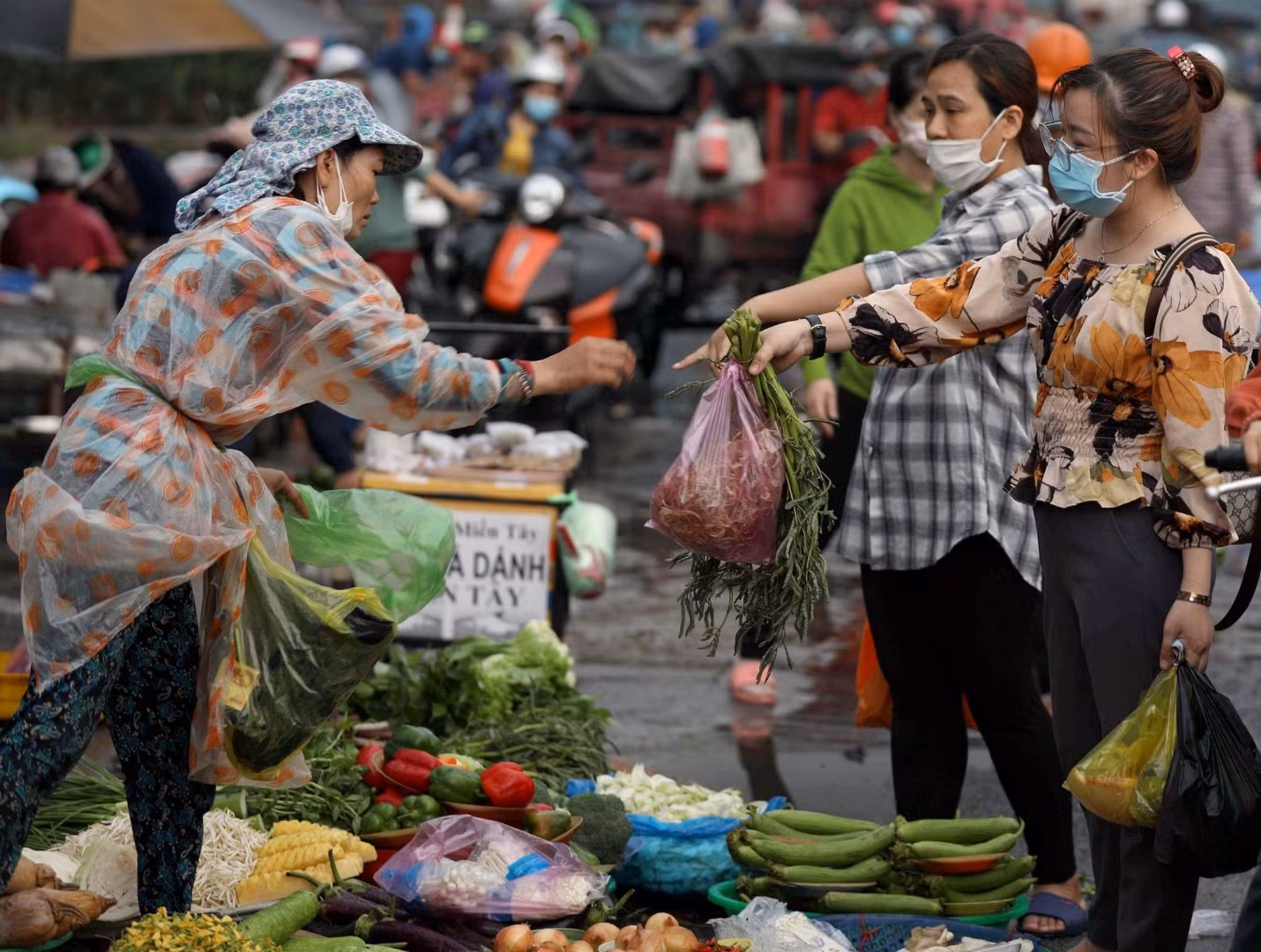 Hạnh phúc và nỗi lo -0