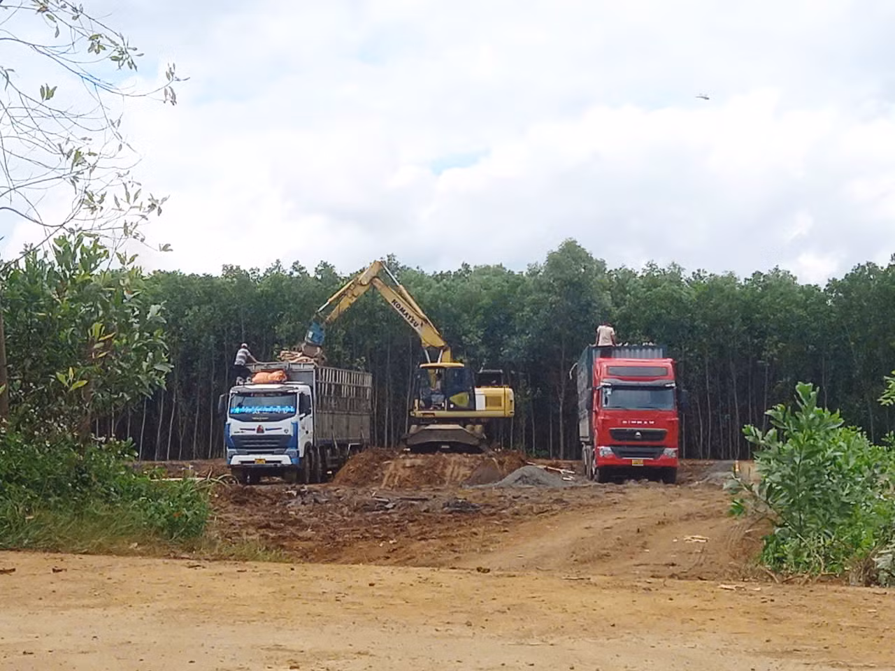  Từ phản ánh của Báo CAND, trạm cân kiểm, thu mua cây gỗ keo “mọc” lên trái phép đã được thu dọn -0