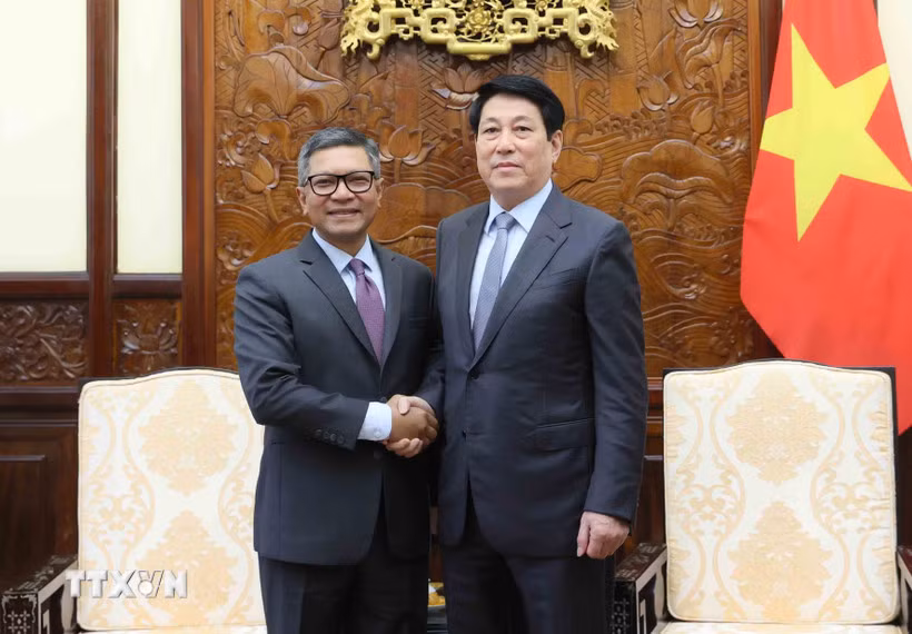 Chủ tịch nước tiếp Đại sứ Indonesia và Singapore đến chào từ biệt -0
