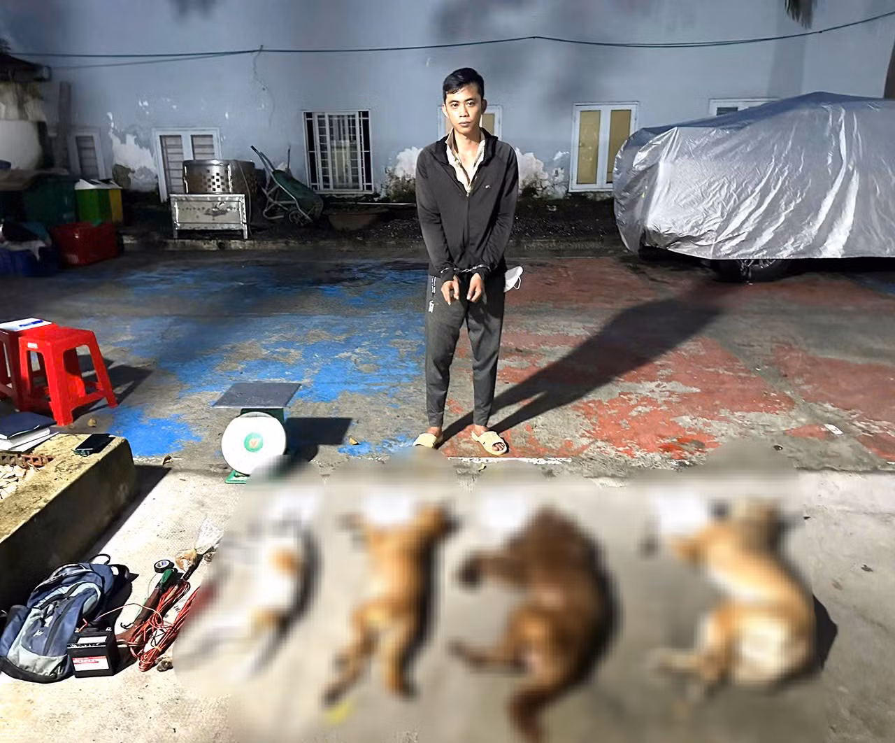 Triệt phá nhóm dùng súng kích điện tự chế, bột ớt để trộm chó số lượng lớn -1
