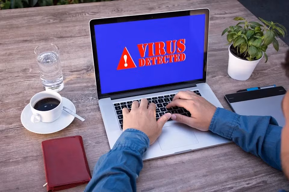 DetourDog - “Bóng ma” ẩn sau 30.000 trang web -0