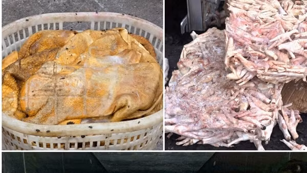 Ngăn chặn hơn 25 tấn thực phẩm bốc mùi hôi thối chuẩn bị đưa vào quán nướng