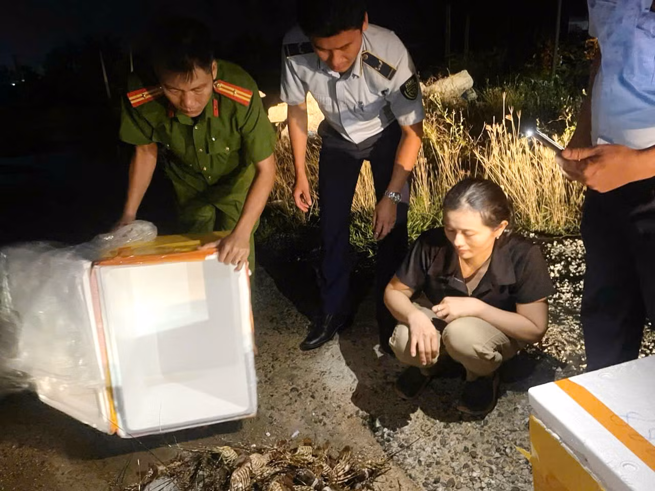  Bơm tạp chất vào tôm hùm để… bán, người phụ nữ bị xử phạt hành chính -0