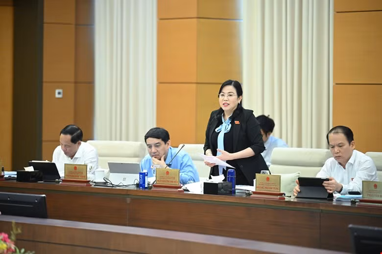 Chủ nhiệm Uỷ ban Công tác đại biểu Nguyễn Thanh Hải.