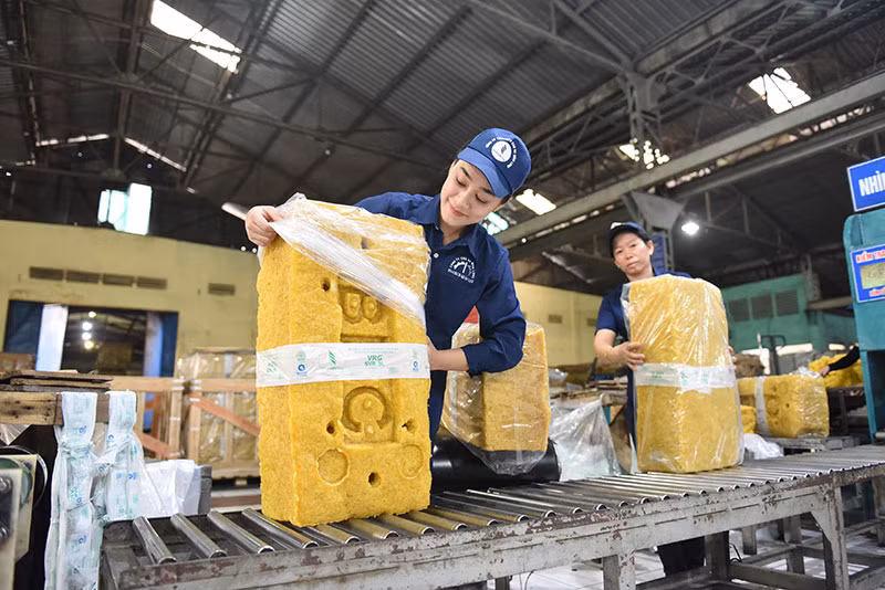 Tập đoàn Công nghiệp Cao su Việt Nam:&nbsp;Tăng tốc phát triển, tối ưu nguồn lực -0